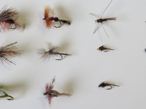 A selection of hand-tied dry flies and nymphs