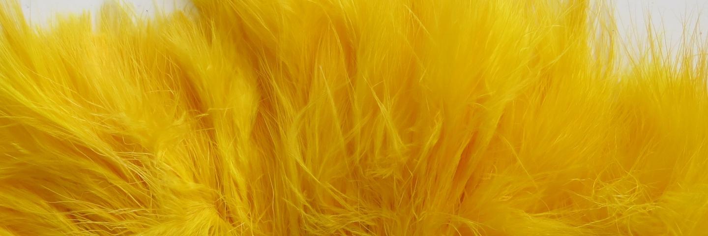 Close-up texture of golden yellow marabou feathers