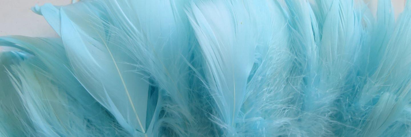 Close view of soft light blue strung goose feathers