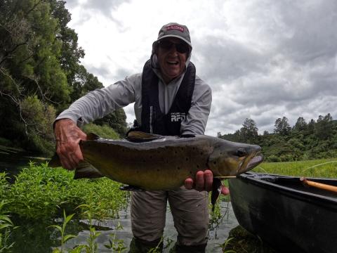 A fly fisher holding a brown trout beside a canoe on a tree-lined river