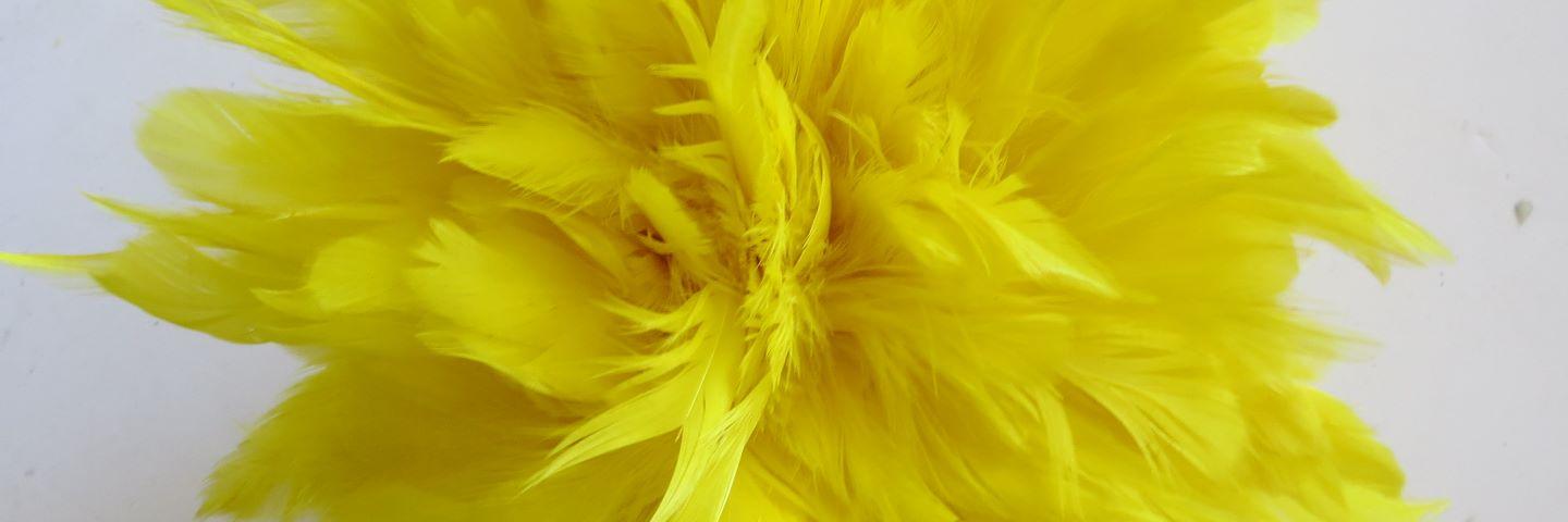Strung yellow schlappen feathers in bulk