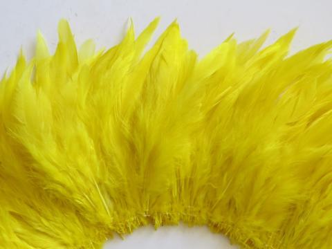Close view of bright yellow schlappen feathers